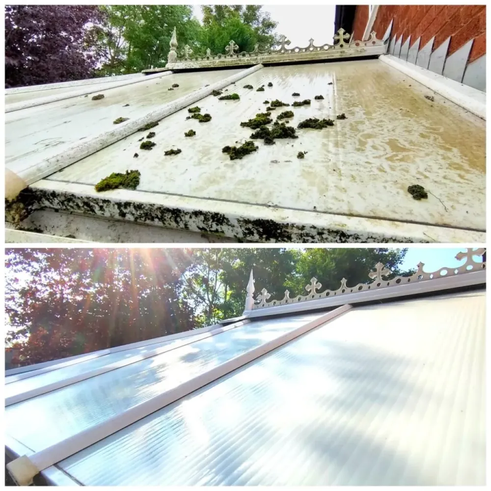 Conservatory roof covered in moss before, and clear after cleaning